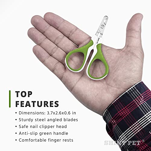 Pet Nail Clippers For Small Animals Best Cat Nail Clippers & Claw