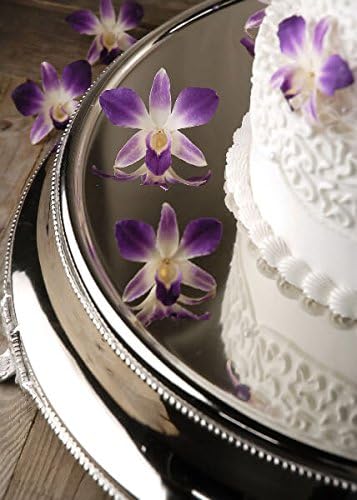 Dexon Power Stainless Steel Cake Plate 24in Plateau