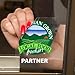 Clear Waterproof Polyester Decal Film 10pp, Laser