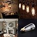 Tungsten & Glass Edison Bulbs 4 Pack - Dimmable 60W Decorative Amber Glow Incandescent Exposed Filament Light Bulb - 240 Lumens