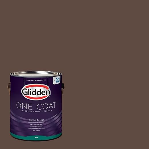 Glidden Exterior Paint + Primer Brown/Little Bear, One