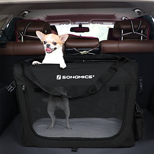 tibetan terrier kijiji