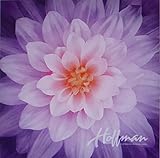 Dream Big Floral~Orchid~Digital Panel 43