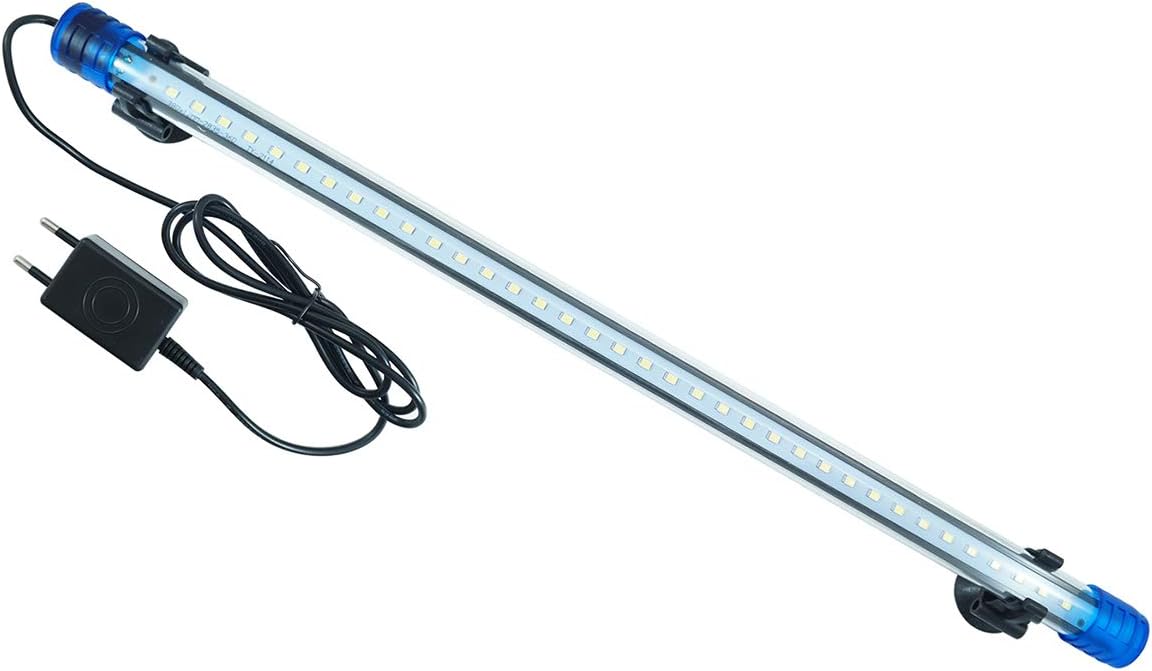 network technology academy