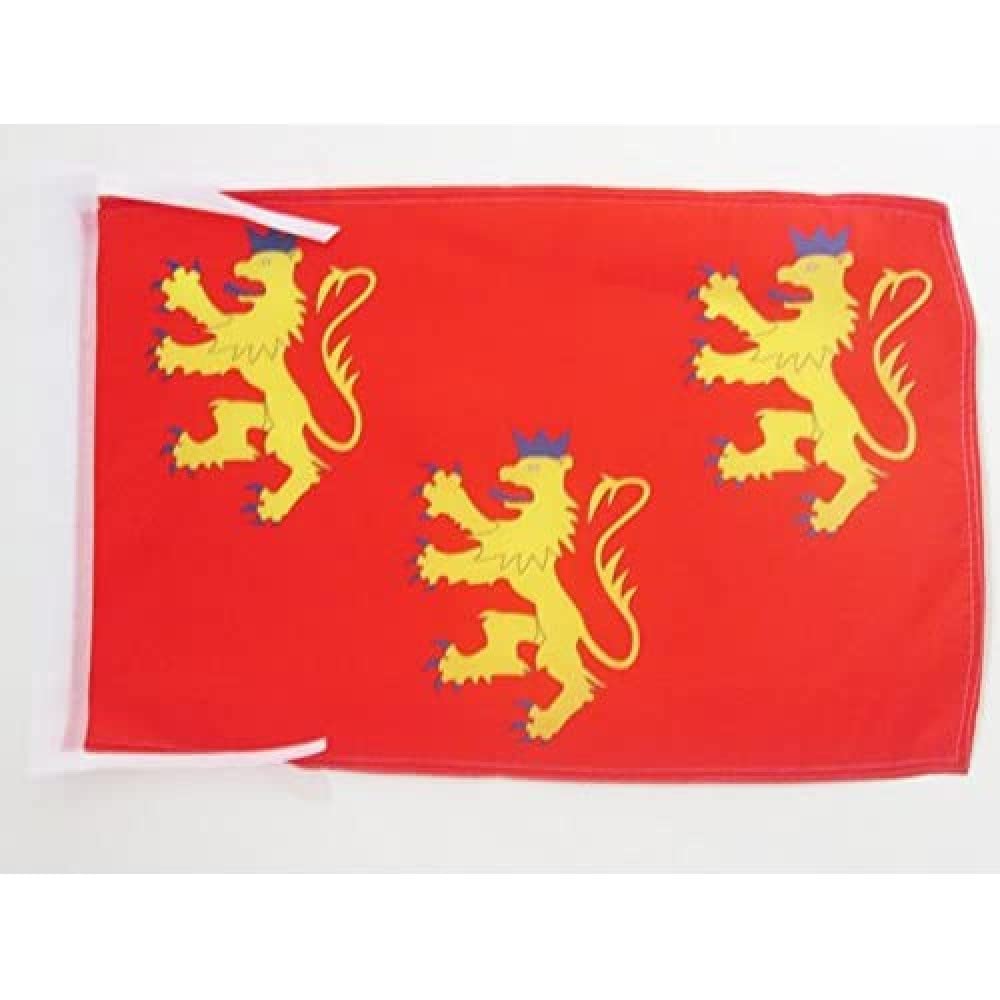 AZ FLAG - French Department of Dordogne Flag - 18'' x 12'' - 100% Polyester France Small Banner with Two Cords - Fade Resistant - Vivid Colors - 18x12 in - 45x30 Cm โ image 1