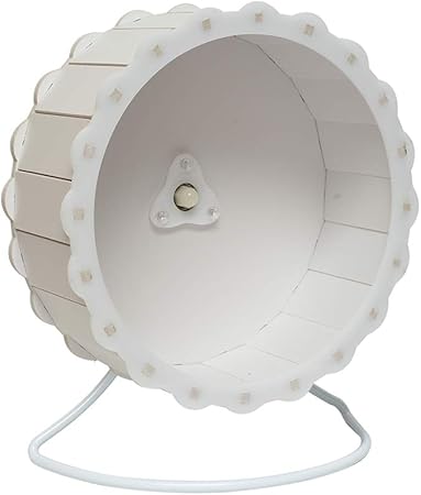 pictures of brittany spaniels