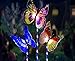 Butterfly Solar lights