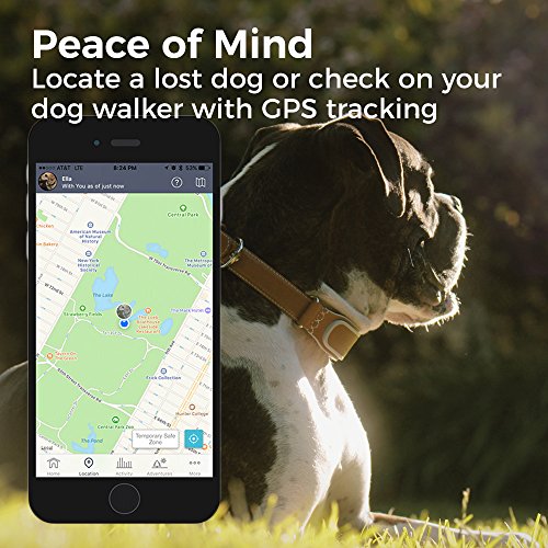 Link AKC Smart Dog Collar GPS Location Tracker, Activity Monitor, and More, Medium (KITTN02