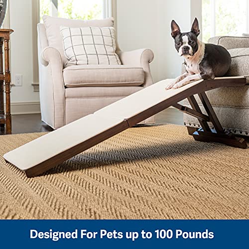 Best Sofa For Dogs And Cats at Margaret Baird blog
