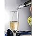 ZesGood Stainless Steel Wine Chiller with Aerator and Pourer
