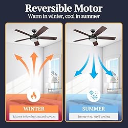 Prominence Home 51649-01 Lorelai Smart Ceiling Fan