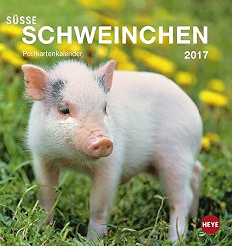 Download Süße Schweinchen 2017 Postkartenkalender PDF