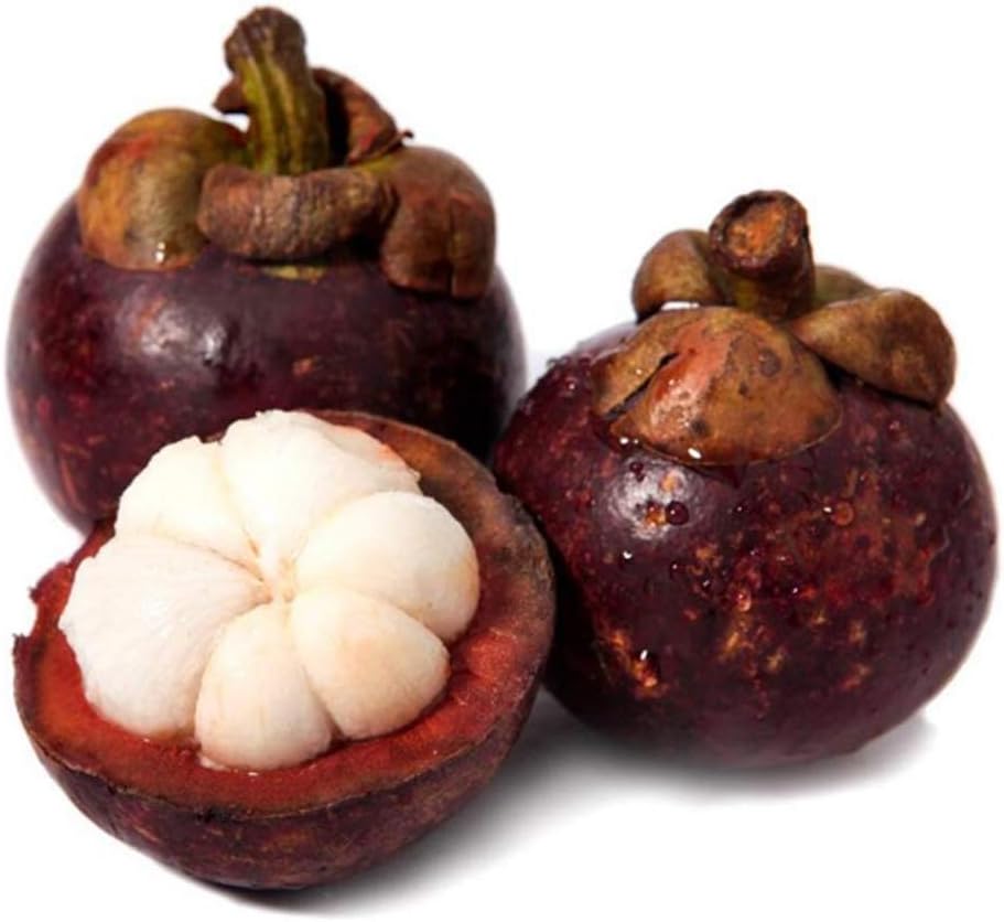 20pcs Semillas de Mangostán, Semillas de Frutas Raras Fruta de ...