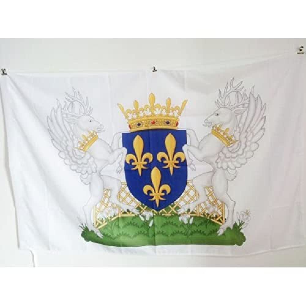 AZ FLAG - Charles VII of France Coat of arms Flag - 3x5 Ft - French Kingdom Banner with Sleeve - 100% Polyester - Fade Resistant - Vivid Colors - 3' x 5' Feet - 150x90 Cm