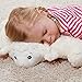 Hugo Frosch 1.8 L Kids Hot-Water Bottle with Cuddly Cushion 3 in 1, Sheep - Made in Germany