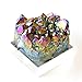 JIC Gem Titanium Coated Crystal Cluster Specimen (Rainbow, 2-2.5