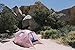 Chillbo CABBINS Camping Tent 2 Person Tent - Two Person Tent for Camping and Music Festivals- Camping Equipment & Tents for Camping - Best Two Man Tent and Camping Gear for Men Pink Leaf