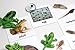 Montessori Frog Life Cycle Animal Match Cards and Figurines. Nomenclature Science Work Teaching