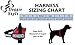 Service Dog in Training Vest - Adjustable No Pull Dog Harness with Patches. in Training Dog Vest for Service Dogs Small, Medium and Large Easy On/Off Dog in Training Harness for Service Dog Training