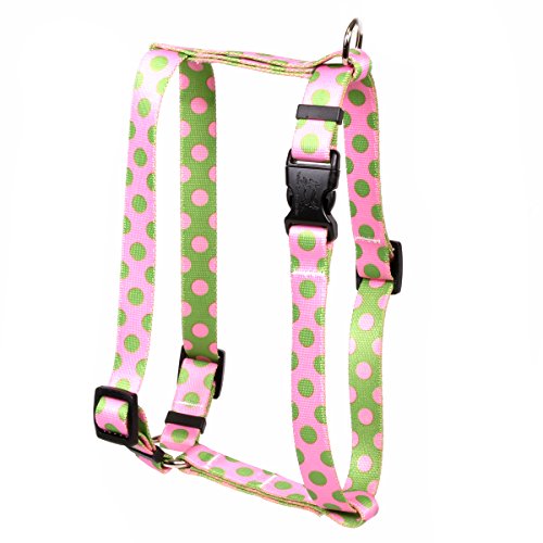 Yellow Dog Design Pink and Green Polka Dot Roman Style"H" Dog Harness-X-Small-3/8" and fits Chest 8 to 14"