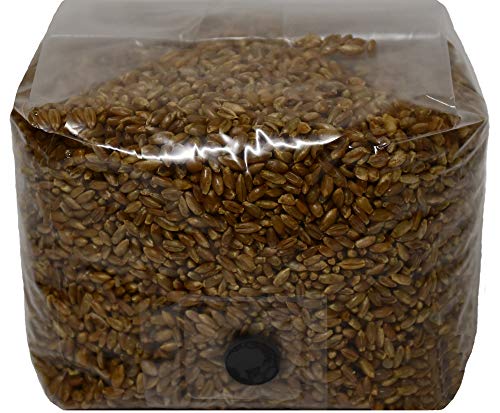 Rye Berry Mushroom Substrate Grow Bags with Self Healing Injection Port (3lbs Bag) (1)