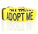 ADOPT ME Yellow Color Coded L-XXL Semi-Choke Dog Collar (Needs A Home) Donate To Your Local Charity