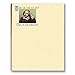 Stonehouse Collection -Funny Notepads Assorted Pack - 4 Funny To Do List Notepads - USA Made