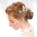 FAYBOX Vintage Gold Twig Hair Clips Bridal Headpiece Wedding Accessories