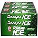 Dentyne Ice Sugar Free Gum (Spearmint  16 Piece  Pack of 9) primary