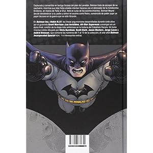 Batman inc: Robin RIP
