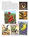 Birds at Home Coloring Book: 50 State Birds and Flowers (Design Originals) From Alabama's Camellia to Wyoming's Meadowlark with 24 Removable Cards, Common & Scientific Names, and 12 Inspiring Examples