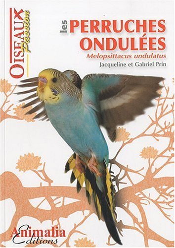 Les  perruches ondulées