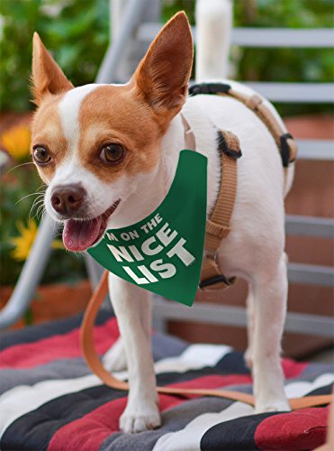 Dog Christmas Decorations I'm on the Nice and Naughty List Bundle Christmas Decorations for Dogs Small Dog Bandanas 2-Pack Scarves for Dogs Bibs