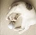 Toys For Cat - Ball Interactive Automatic Rolling Light Entertainment Exercise For Cats And Puppy Dogs(9 Batteries Included)