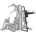 Body Solid (GKR9) Vertical Knee Raise and Dip Station, Machine Exercise Equipment for Commercial and Home Gym, Strength Training Dip Stands