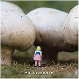 Microworlds