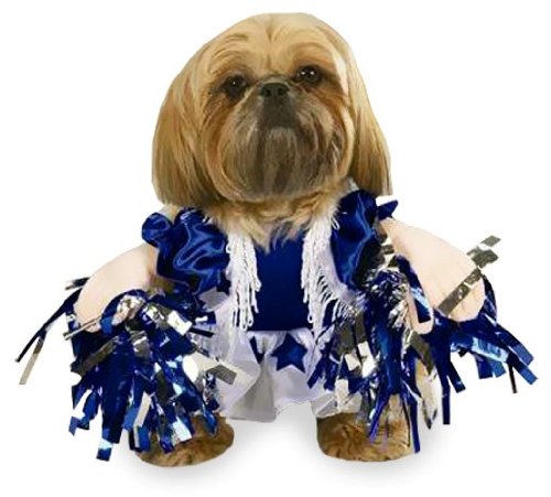MFR BACKORDER SEASONAL 102015 Spirit Paws Dog Costume XSMALL