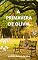 Livro A Primavera de Olívia