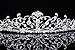 Flower Vine Design Bridal Tiara Crown - Clear Crystals Silver Plating T654