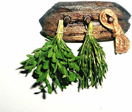 Spices. Rosemary and sage. Dollhouse miniature 1:12