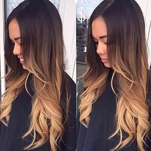 Earical Hair Ombre Glueless Full Lace Human Hair Wigs Brazilian Virgin Hair Middle Part Lace Front Wigs for Black Women with Baby Hair 150% density (16inch lace front wig)