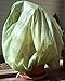 Frost Protek Medium Plant Cover for Containers -Drawstring Close -Garden Fabric for Protection and Insulation -32