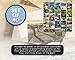 BEST PAPER GREETINGS 40 Pack Around the World Postcards Bulk 4x6 - Wild Animals - Blank Travel Post Cards for Mailing - 20 Assorted Scenic Photos