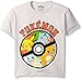 Pokemon Big Boys' Pokeball Starters Tee, Silver M(10/12)