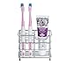 BasicForm Stainless Steel Toothbrush Holder - Toothpaste Stand Holder for Bathroom, Silver