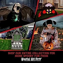 Haunted Hill Farm 5.2 ft. Hanging Witch with Button