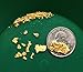 Goldn Badger Gold & Precious Gem Panning Paydirt