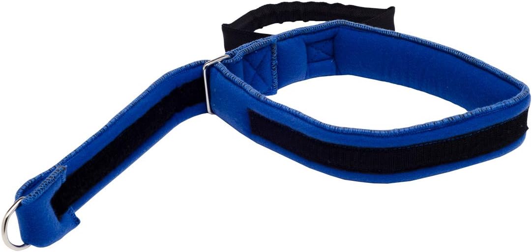 Patient Aid Thigh Lifter Strap, Leg Lift Assist Band with Padded Wrist Strap for Lifting, Movement, Transfer - Mobility Device for Disabled, Elderly, Limited Mobility, After Surgery Bed Rest: Health & Personal Care