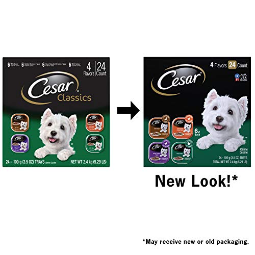 Cesar Classics Poultry Dog Food Variety Pack - Image 9