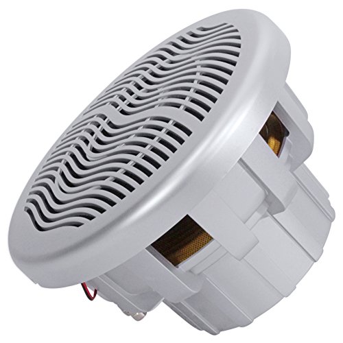 Rockville MS10LS 10" 2400 Watt Silver Marine/Boat 10" Subwoofer with LED+Remote